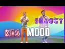 Check out Kes and Shaggy Mood on the Tamron Hall Show